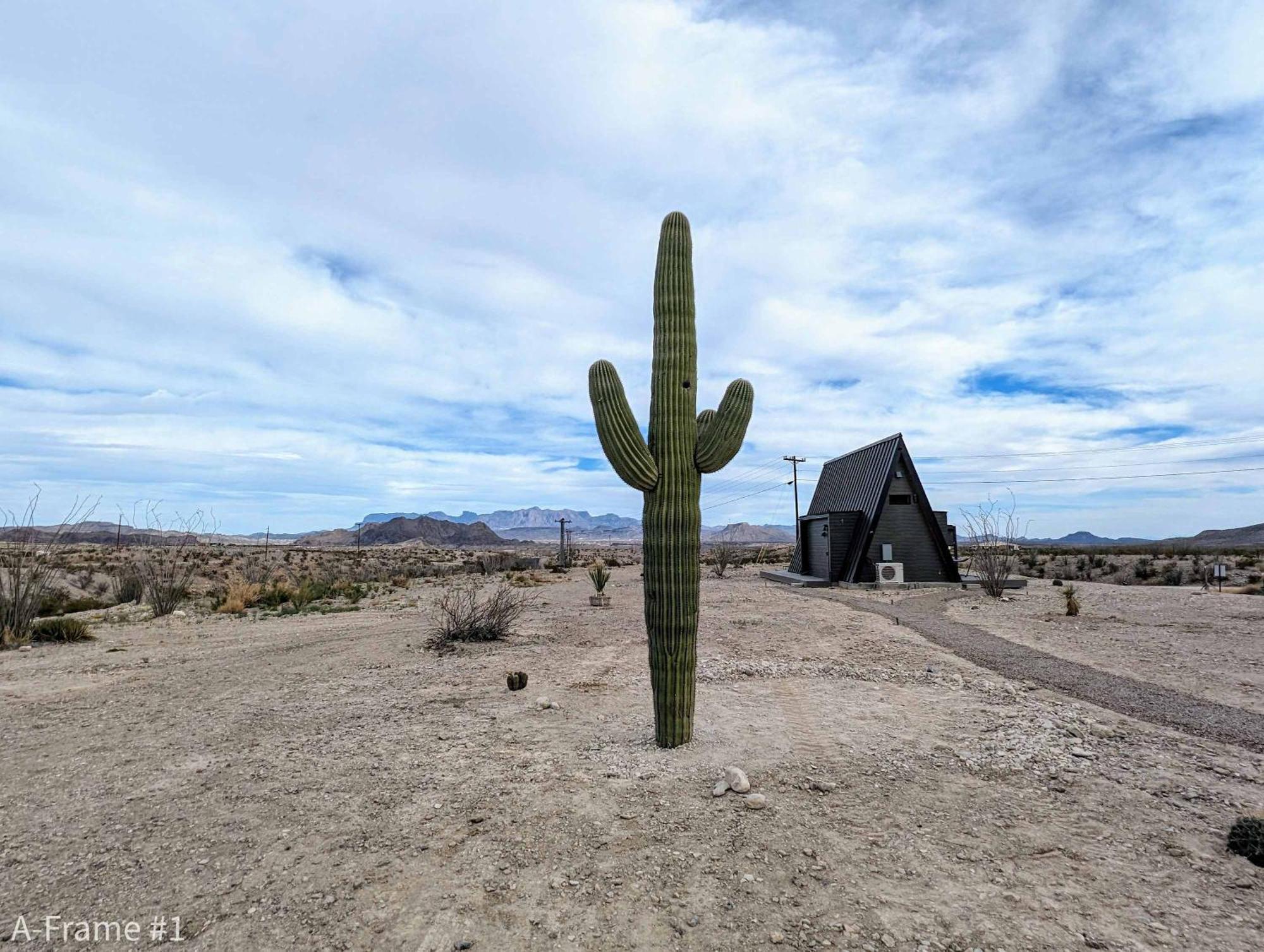 Stardust Big Bend Luxury A-Frame#5 Great Views Villa เทอร์ลิงกวา ภายนอก รูปภาพ